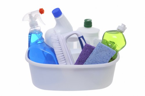 Pet stain odour removal service in Shacklewell treating carpet stains