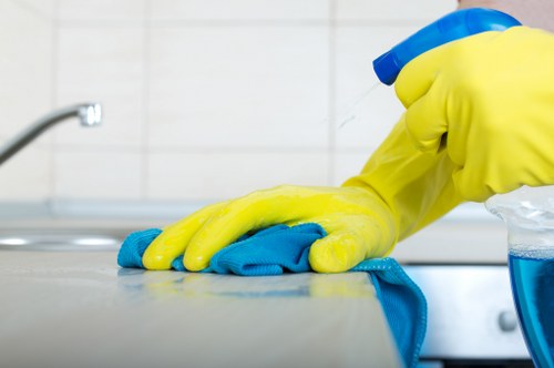 Deep cleaning upholstery affected by pet odours in a Shacklewell home