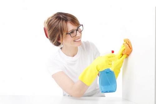 Final legal terms section for carpet cleaning services