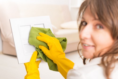 Professional assessment of a carpet cleaning concern